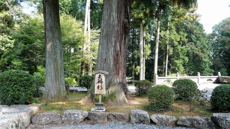 f:id:boianuf:20161214151244j:image