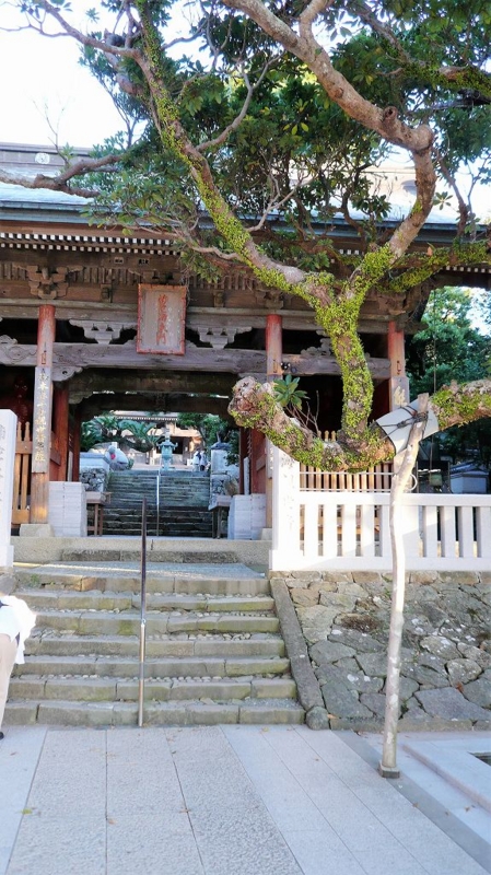 f:id:boianuf:20161216094808j:image:w400