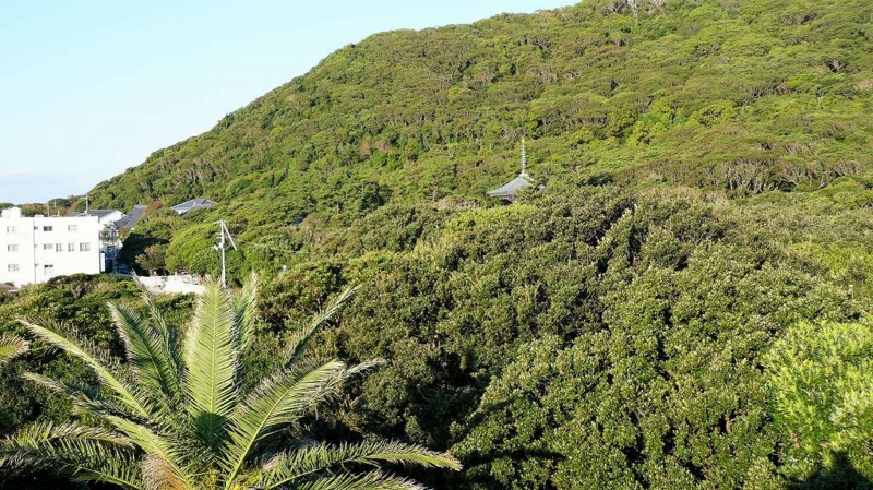 f:id:boianuf:20161216095219j:image