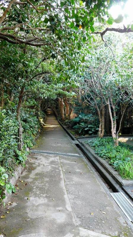 f:id:boianuf:20161216095227j:image:w400