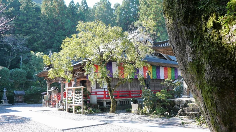 f:id:boianuf:20161216095514j:image