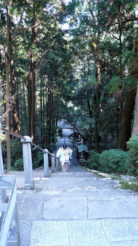 f:id:boianuf:20161216100052j:image