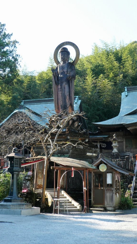 f:id:boianuf:20161216132936j:image:w400