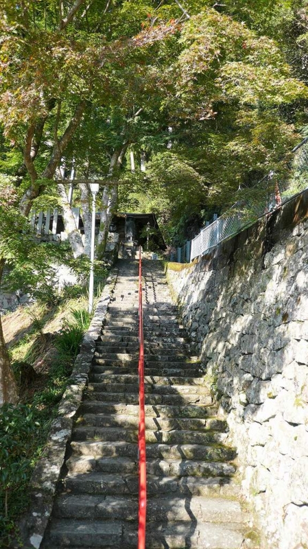 f:id:boianuf:20161216155518j:image:w400