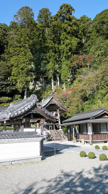 f:id:boianuf:20161216155628j:image:w400