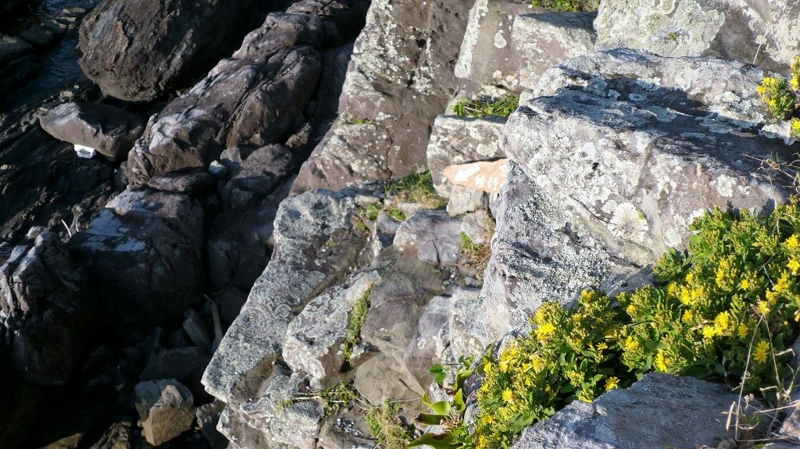 f:id:boianuf:20161216160036j:image