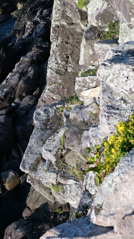 f:id:boianuf:20161216160156j:image:w400