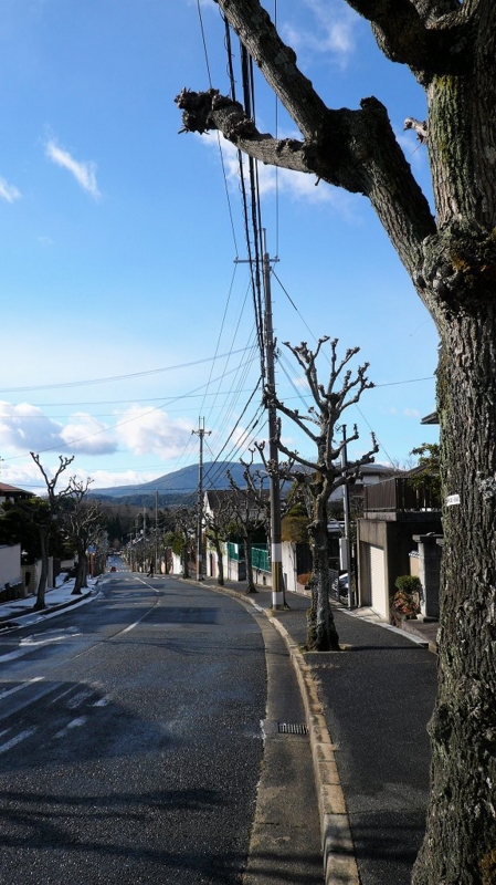 20170116113357