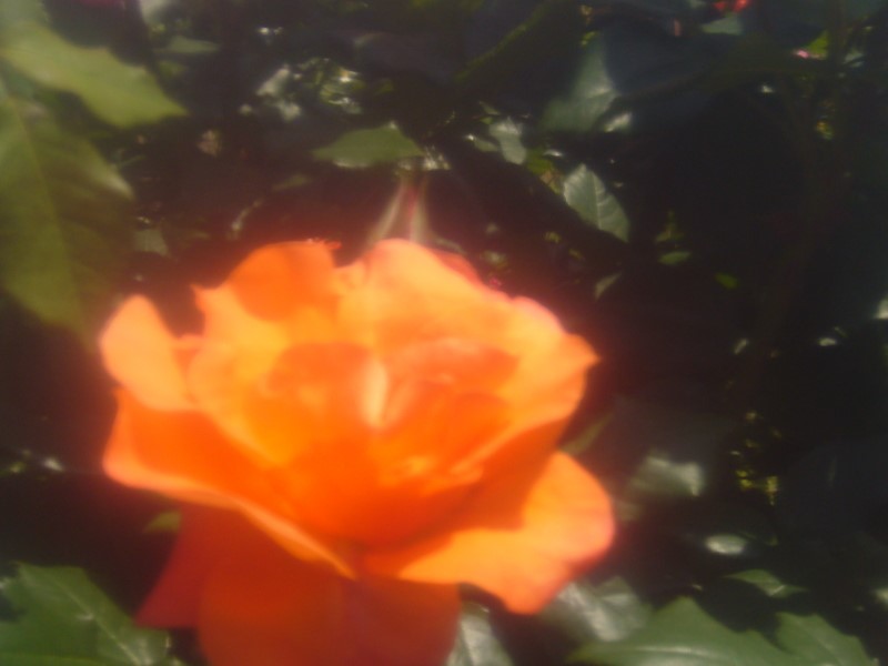 f:id:boianuf:20170407105953j:image
