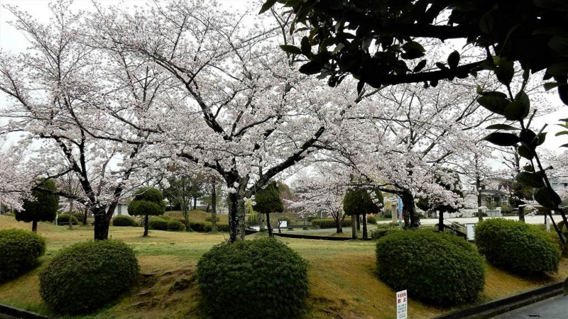 f:id:boianuf:20170408102946j:image