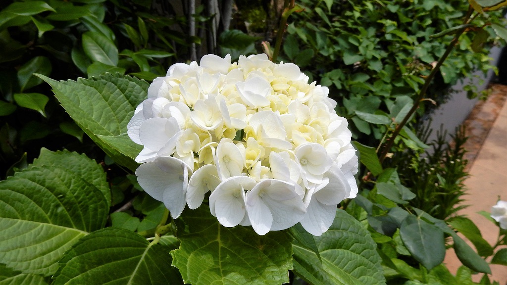 f:id:boianuf:20170618121955j:plain