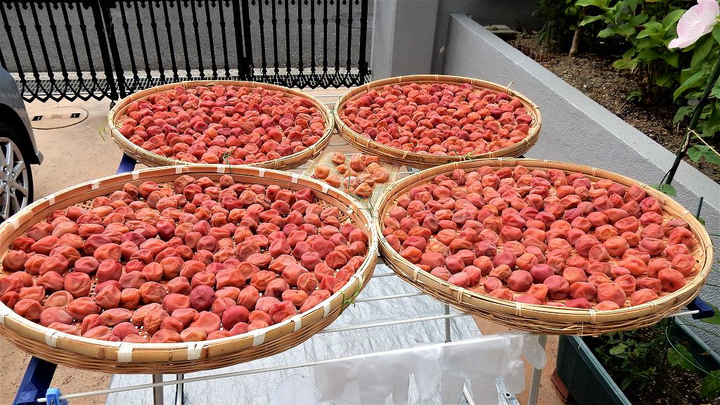 f:id:boianuf:20170721102211j:plain