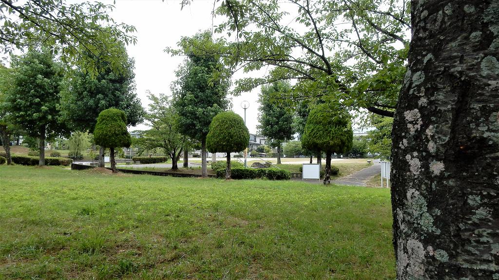 f:id:boianuf:20170725144122j:plain