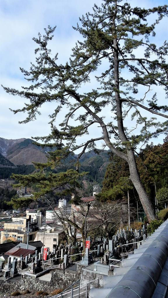 f:id:boianuf:20171215152626j:plain f:id:boianuf:20171215152626j:plain