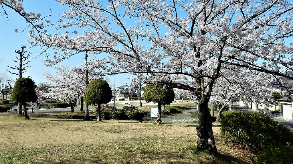 f:id:boianuf:20180330110941j:plain