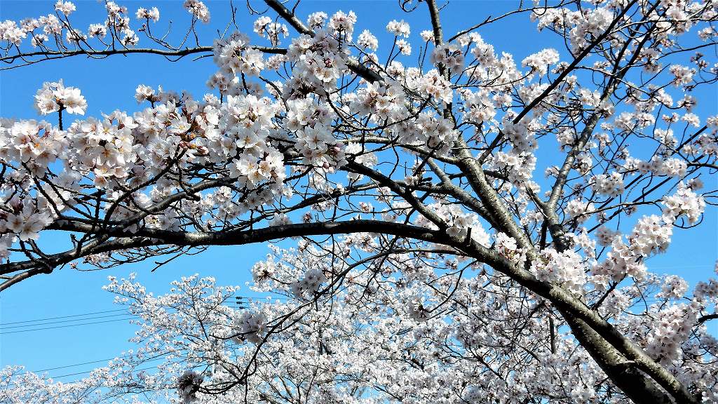 f:id:boianuf:20180330111106j:plain