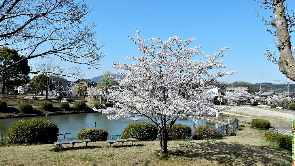 f:id:boianuf:20180330111128j:plain