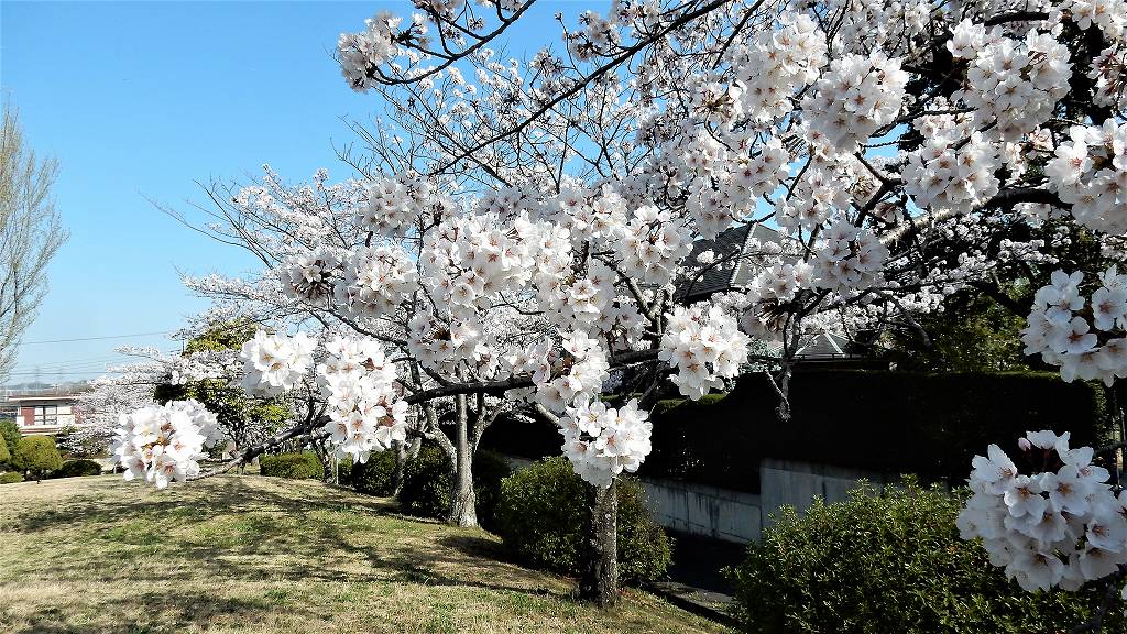 f:id:boianuf:20180330111147j:plain