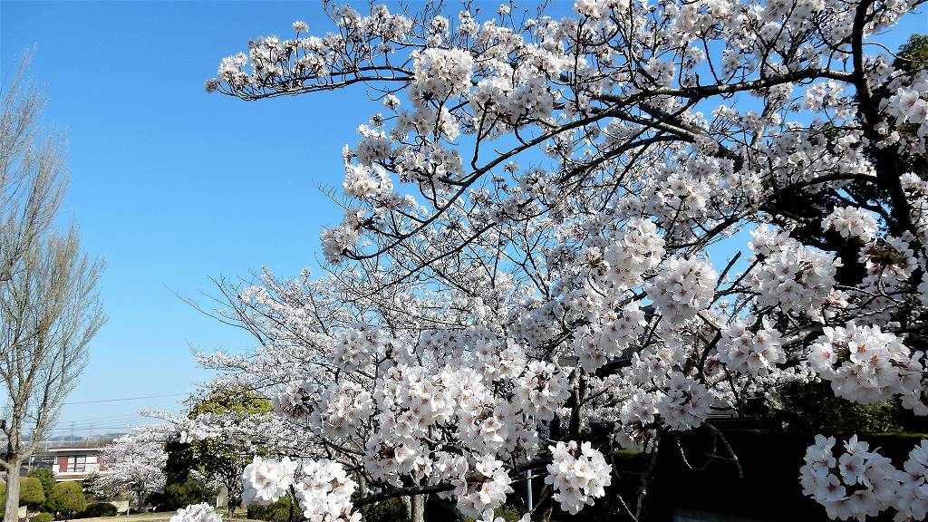 f:id:boianuf:20180330111202j:plain