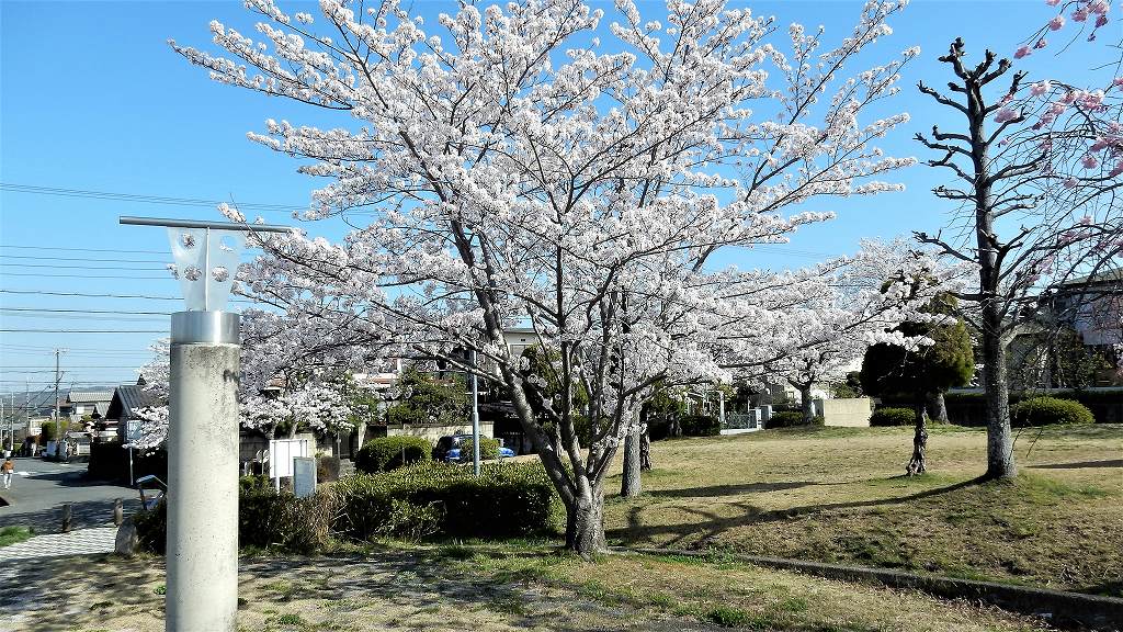 f:id:boianuf:20180330111252j:plain