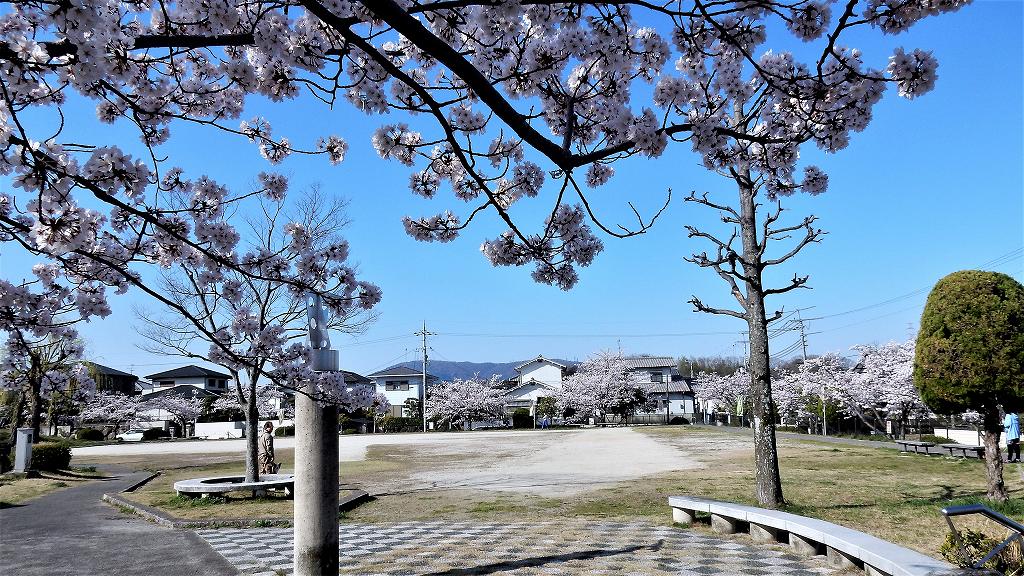 f:id:boianuf:20180330111325j:plain