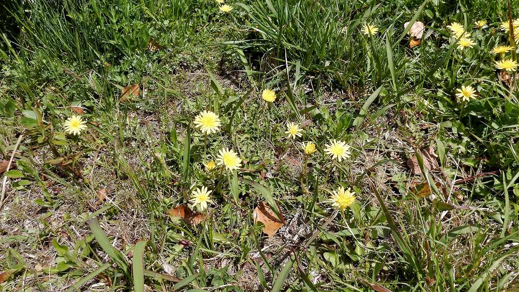 f:id:boianuf:20180414160420j:plain