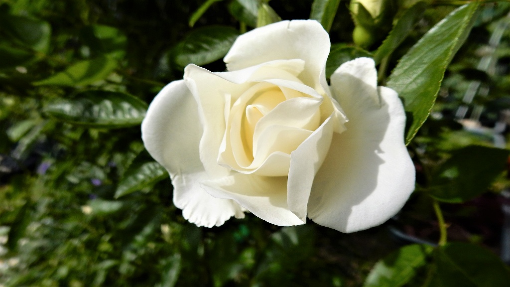 f:id:boianuf:20180506113916j:plain