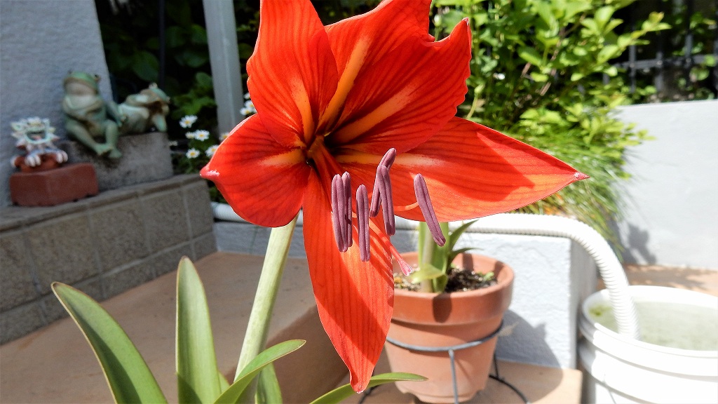 f:id:boianuf:20180515155542j:plain