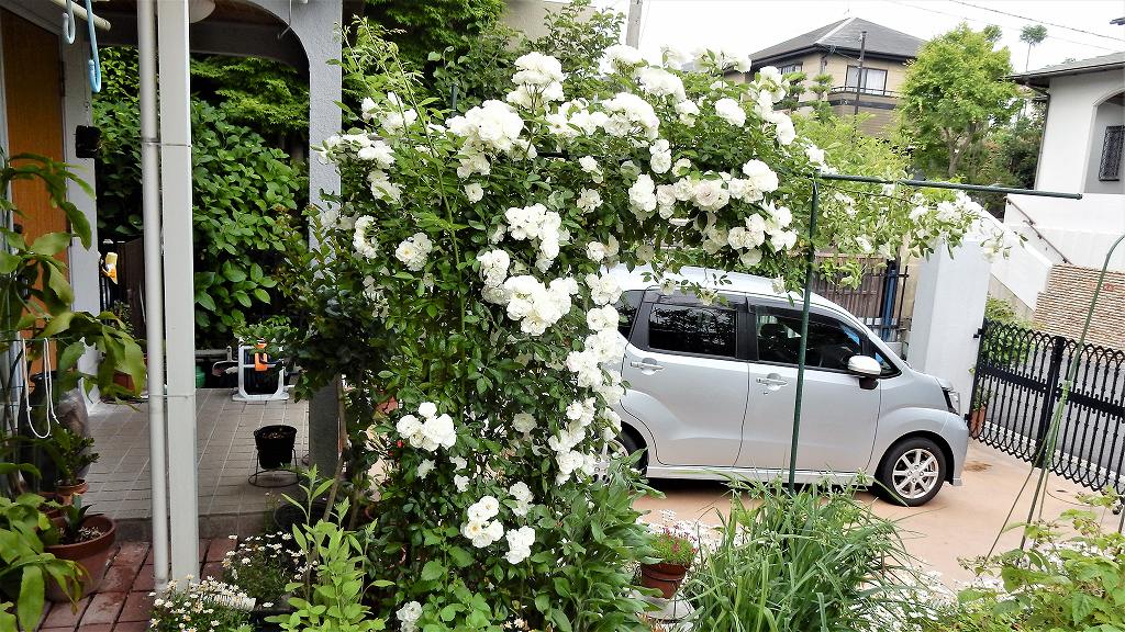 f:id:boianuf:20180519140641j:plain