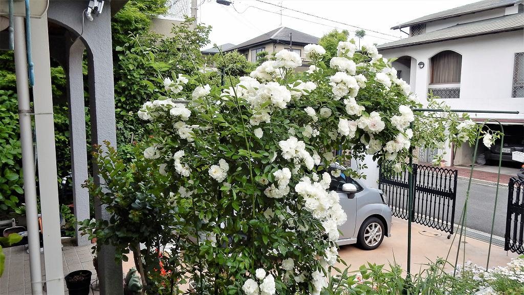 f:id:boianuf:20180519140701j:plain