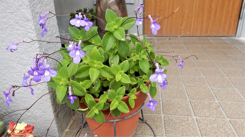 f:id:boianuf:20180608105204j:plain