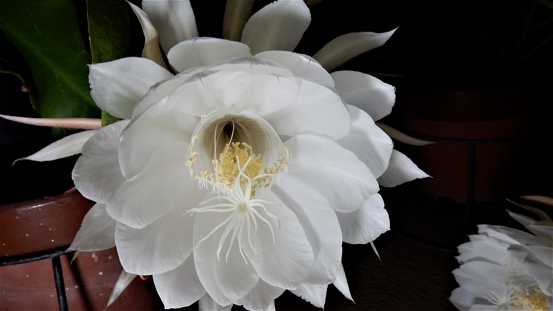 f:id:boianuf:20180701081037j:plain f:id:boianuf:20180701081037j:plain