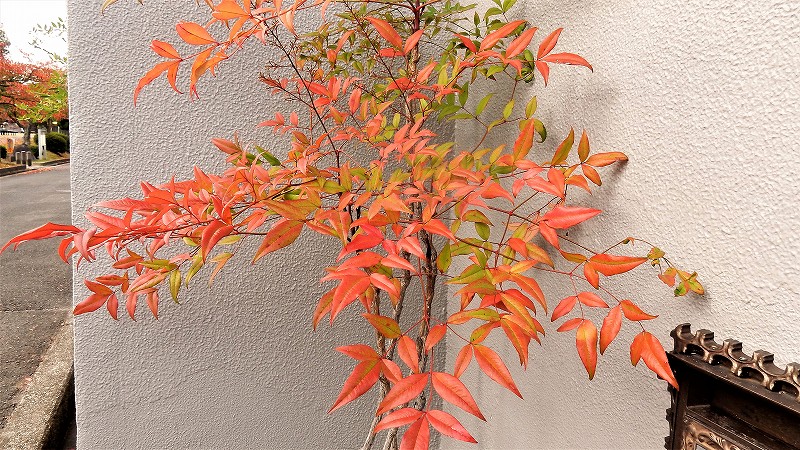 f:id:boianuf:20181105130703j:plain