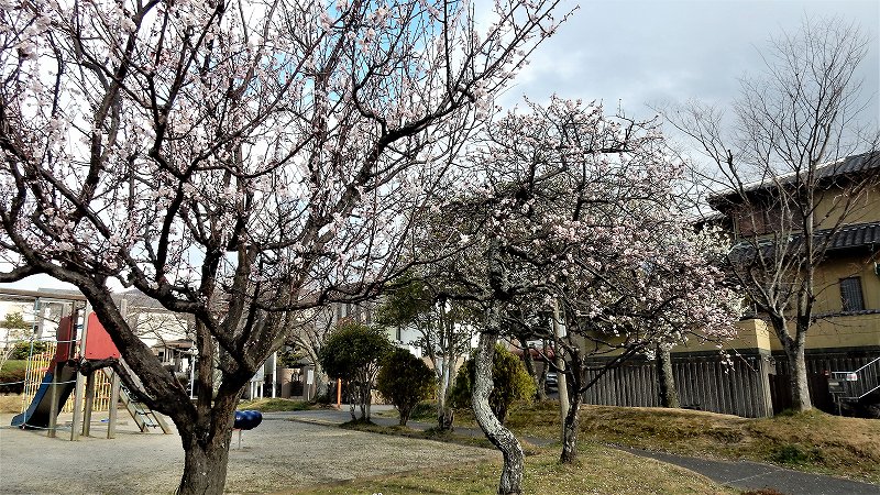 f:id:boianuf:20190313161712j:plain