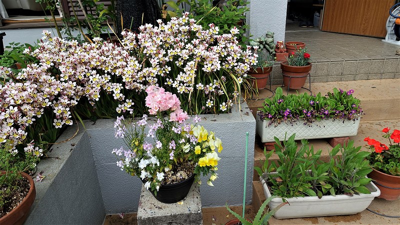 f:id:boianuf:20190426164053j:plain