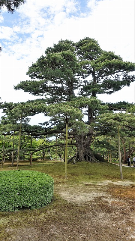 f:id:boianuf:20190526130319j:plain