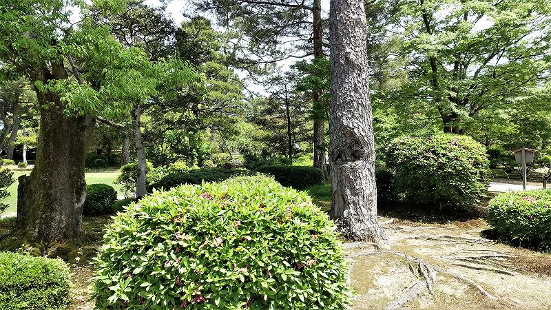 f:id:boianuf:20190526130957j:plain