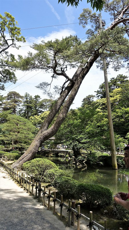 f:id:boianuf:20190526131225j:plain