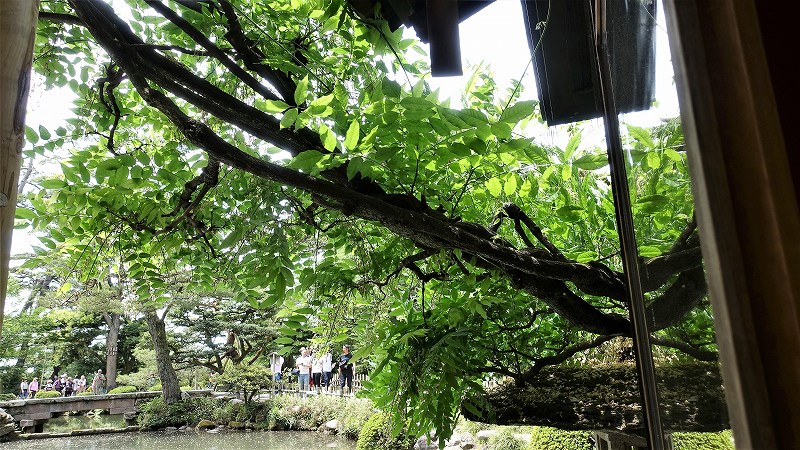 f:id:boianuf:20190526131356j:plain