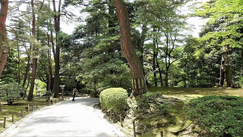 f:id:boianuf:20190526132317j:plain