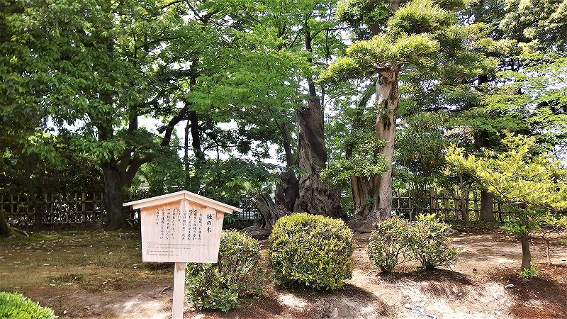 f:id:boianuf:20190526132954j:plain