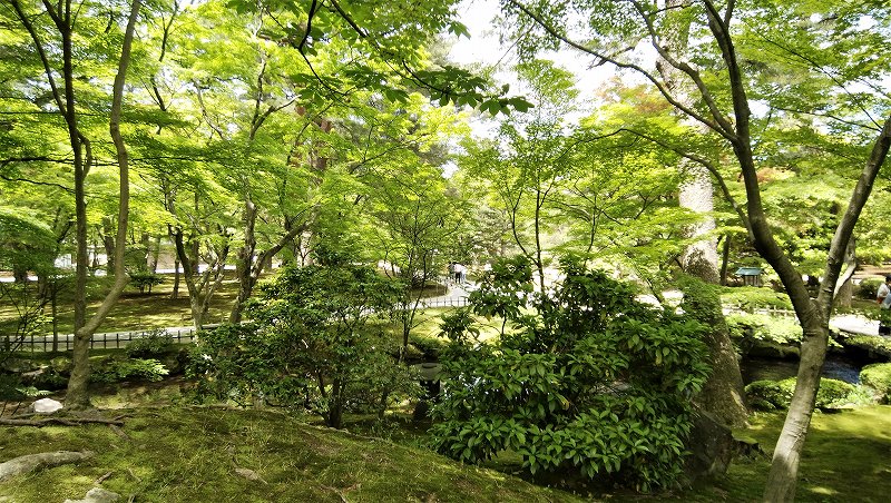 f:id:boianuf:20190601153955j:plain