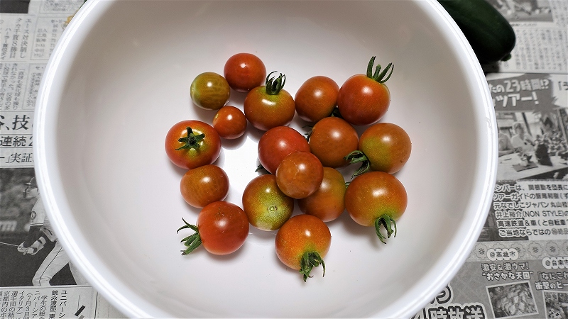 f:id:boianuf:20190629144200j:plain