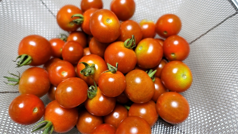 f:id:boianuf:20190709092857j:plain