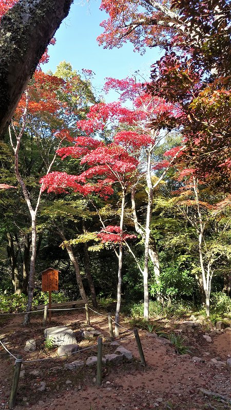 f:id:boianuf:20191114131021j:plain f:id:boianuf:20191114131021j:plain