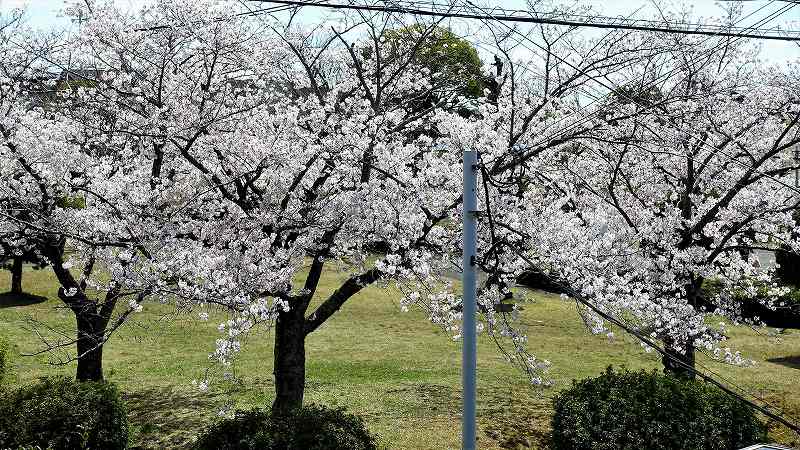 f:id:boianuf:20200405130803j:plain