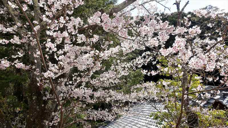 f:id:boianuf:20200406152955j:plain