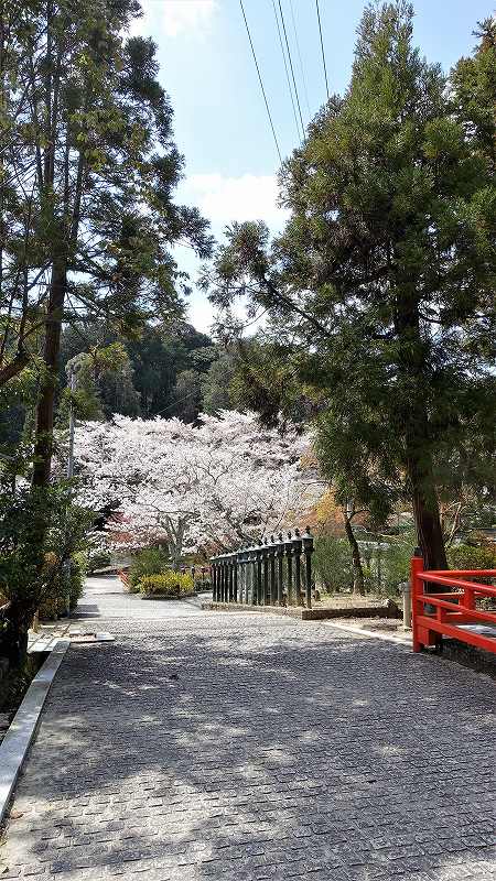 f:id:boianuf:20200406153117j:plain