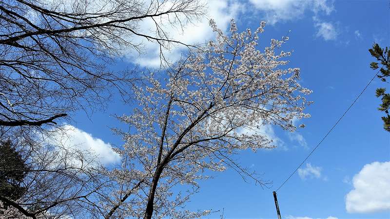 f:id:boianuf:20200406153152j:plain