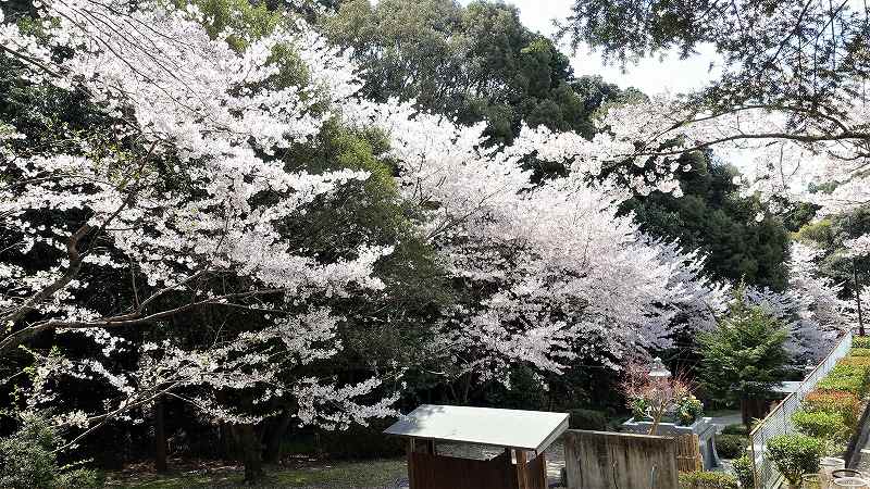 f:id:boianuf:20200406153419j:plain